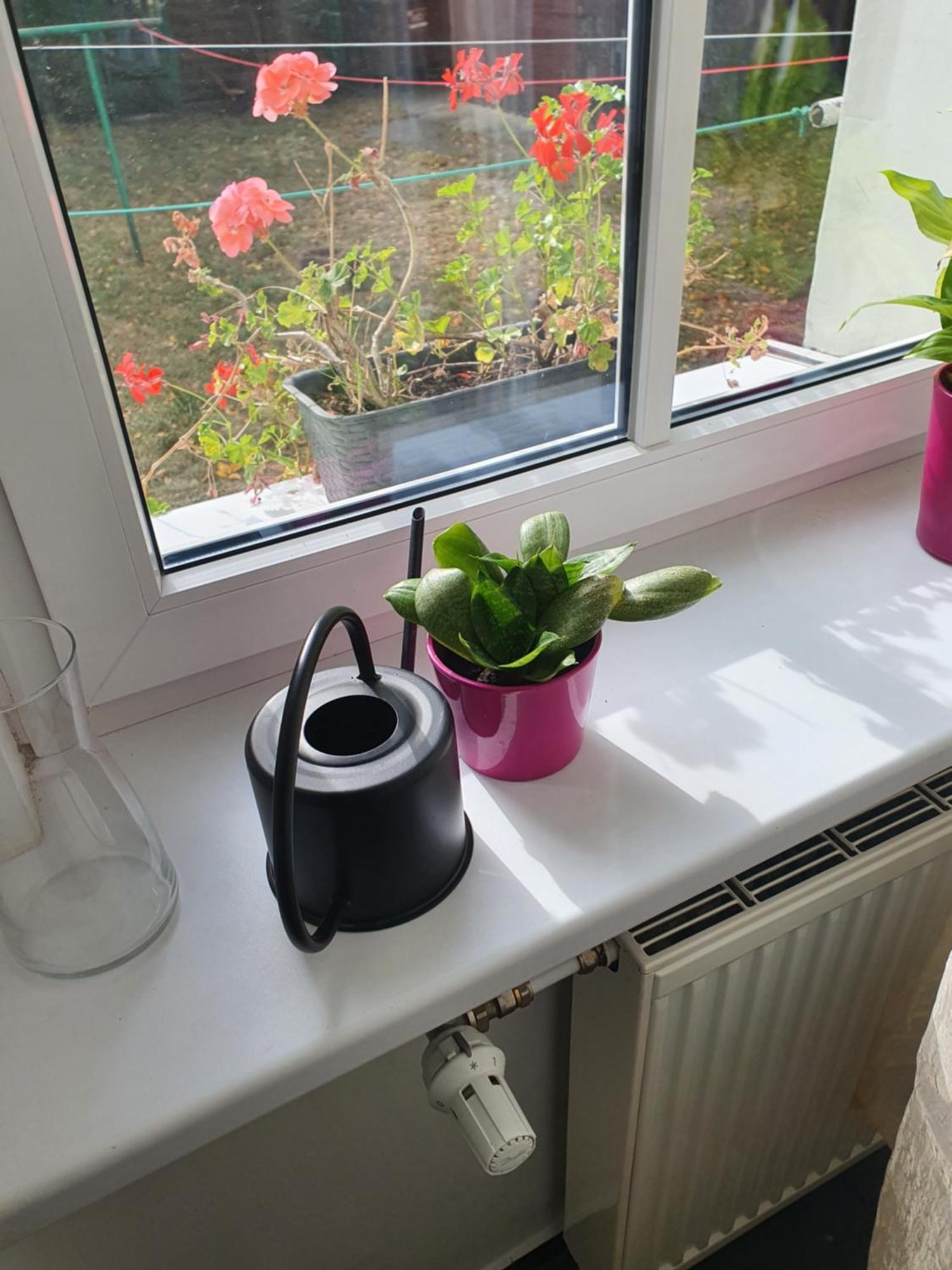 Kamienica Nowodworska 30 Daire Bydgoszcz Oda fotoğraf